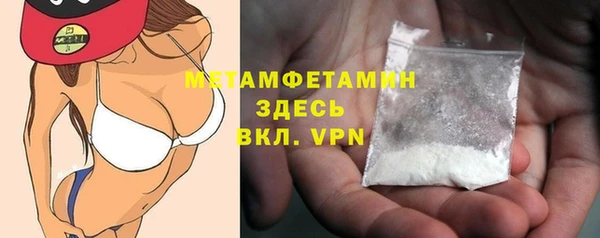 прущие грибы Бородино