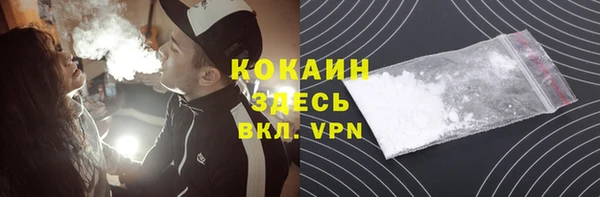 прущие грибы Бородино