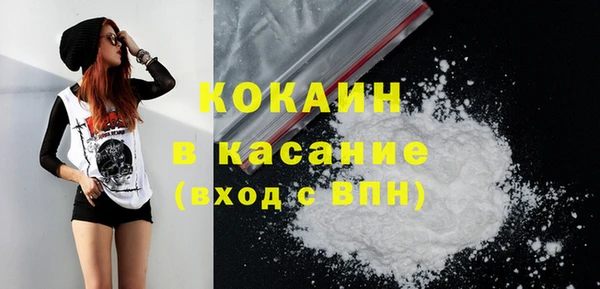 прущие грибы Бородино