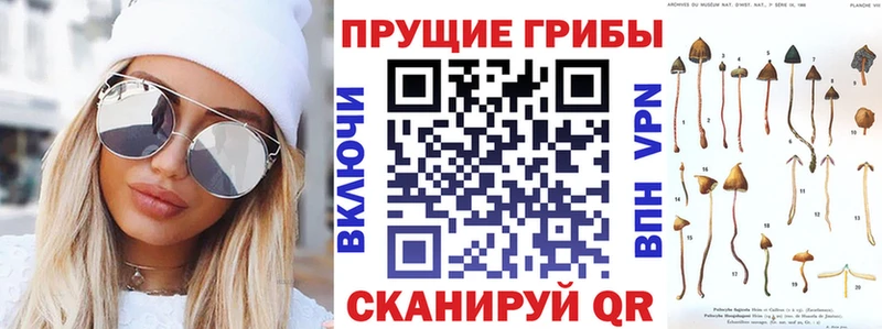 Купить  Сибай  Галлюциногенные грибы GOLDEN TEACHER 